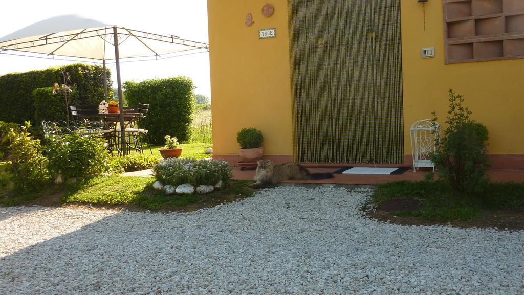 Vila Il Nido Lucca Exteriér fotografie